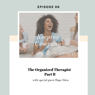 Episode 6: The Organized Therapist-Part II