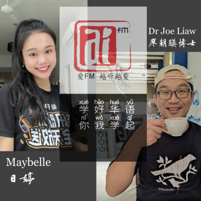 cover of episode 说好华语-过年吃多肉干发热气