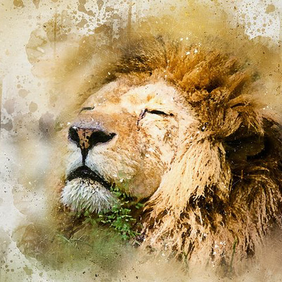 #263 Why Should You Become a Leader