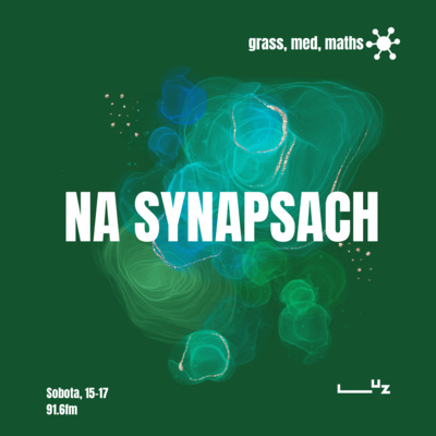 Na Synapsach