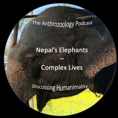 The Anthrozoology Podcast - Nepal's Elephants - Complex Lives #20