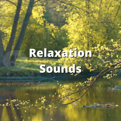 Relaksasi Suara Angin & Burung Bernyanyi di Pinggir Sungai Menenangkan