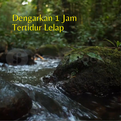 Relaksasi Suara Sungai & Burung