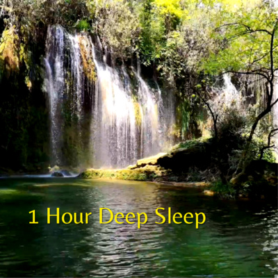 Relaksasi Suara Sungai dan Burung Bernyanyi