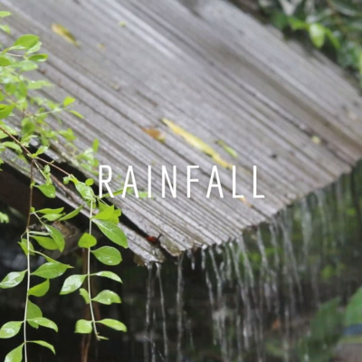 Relaksasi Suara Hujan di Atas Genting