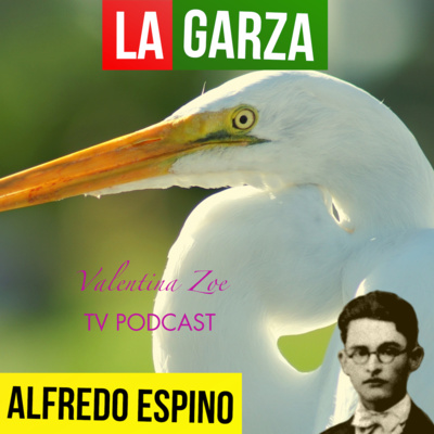 LA GARZA ALFREDO ESPINO 🦢⛅ | Jícaras Tristes Pájaros de Leyenda 🌖 | Alfredo Espino Poemas