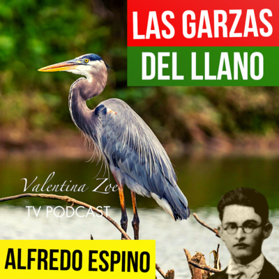  LAS GARZAS DEL LLANO ALFREDO ESPINO 🦩🍂 | Jícaras Tristes Pájaros de Leyenda 🌫️ | Alfredo Espino Poemas