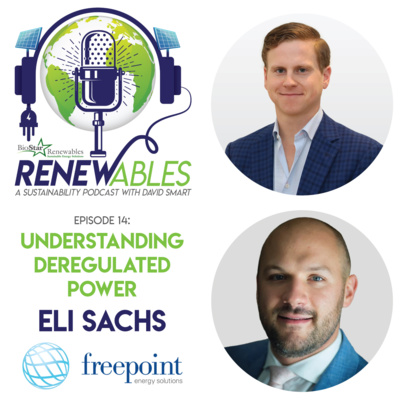 RENEWables Episode 14: Understanding Deregulated Power