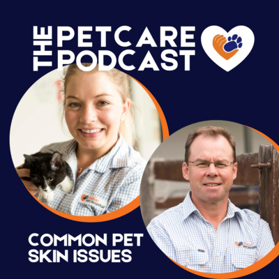 Don't Google it! Common skin issues, puppy preschool tips and meet vet Andrew Litchfield