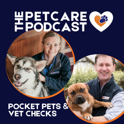 Pocket Pets and Vet Checks