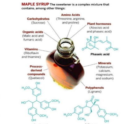 Episode 5: Sweet Talk with Dr. Seeram - Maple and Human Health Part I