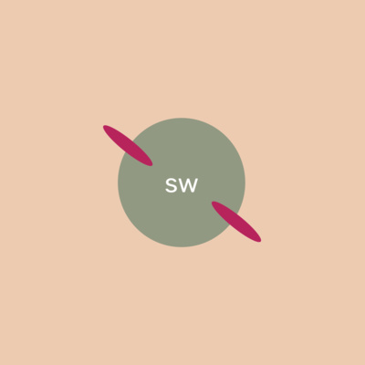 Small Worlds