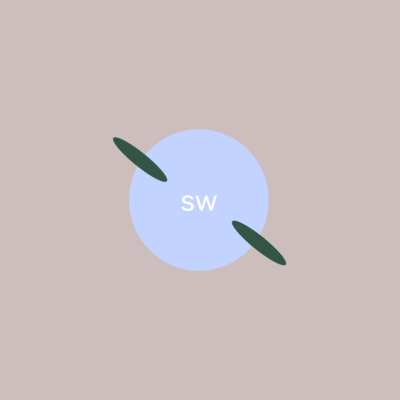 Small Worlds