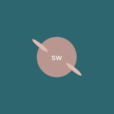 Small Worlds