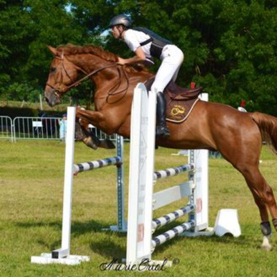 Saut d'obstacle