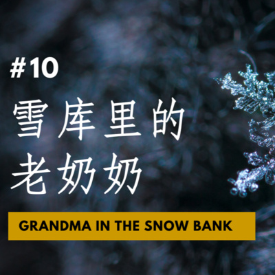 【CASE 10：雪库里的老奶奶 Grandma in the Snow Bank】19年人生 10年监狱 重见天日还是逃不过命运 到底是坏事做多因果循环 还是难逃命运安排？