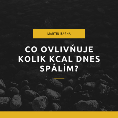 Podcast - Co ovlivňuje kolik kcal dnes spálím? episode artwork