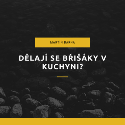 Podcast s Martinem Barnou