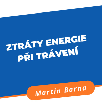 Podcast - Ztráty energie při trávení episode artwork