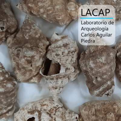 LACAP