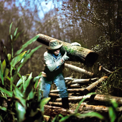 Nada que ver #20 - Los rollos de la fotografía analogica