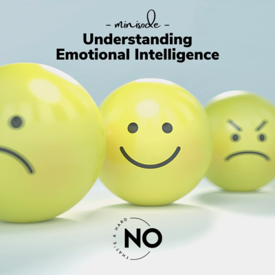 S1 Mini 10: Understanding Emotional Intelligence