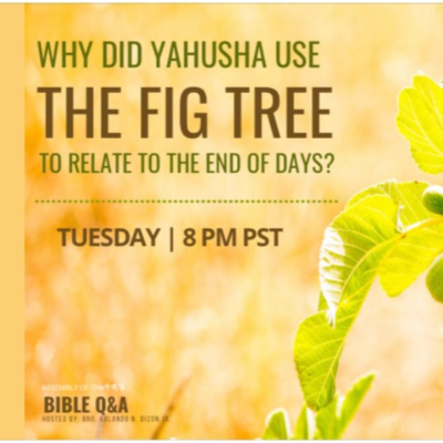 Assembly of Yahusha