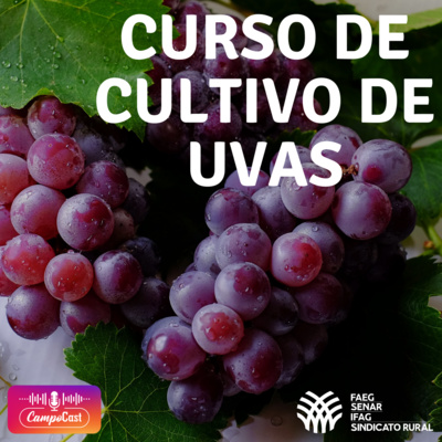 Curso de Cultivo de Uvas