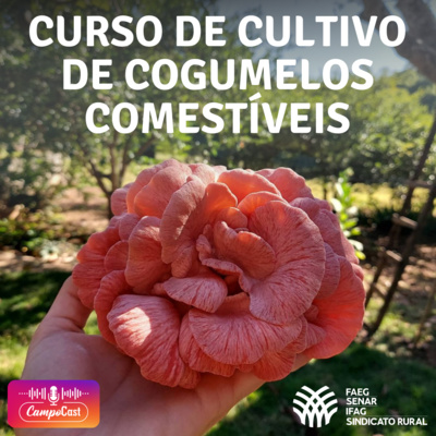 Curso de Cultivo de Cogumelos Comestíveis