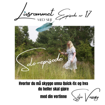 E17: Hvorfor du må skygge unna Quick-fix og hva du heller må gjøre med Silje Vassøy