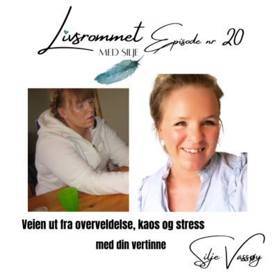 E20: Veien ut ifra overveldelse, kaos og stress