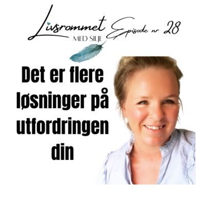 E28 Det er flere løsninger på utfordringen din