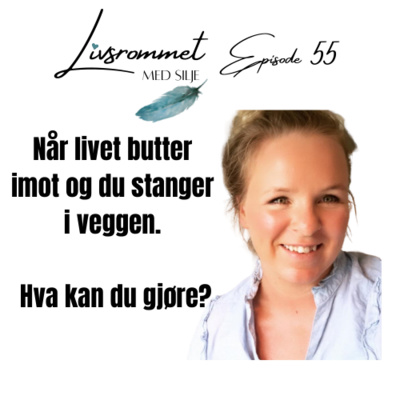 E55: Når livet butter imot og du stanger i veggen. Hva kan du gjøre?