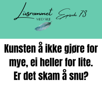 E73: Kunsten å ikke gjør for masse, ei heller for lite. Er det skam å snu?