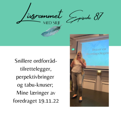 E87: Snillere Ordforråd-tilrettelegger, perpektivbringer og tabu-knuser; Mine læringer av foredraget 19.11.22