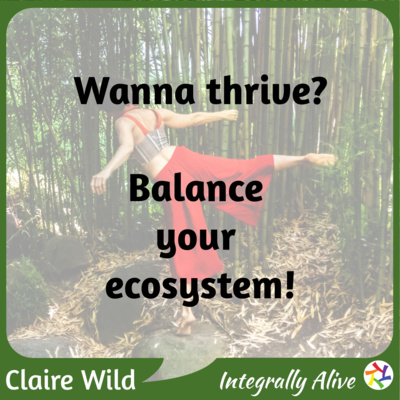 Wanna thrive? Balance your ecosystem!