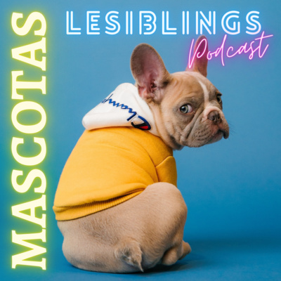 T02-EP02 |MASCOTAS