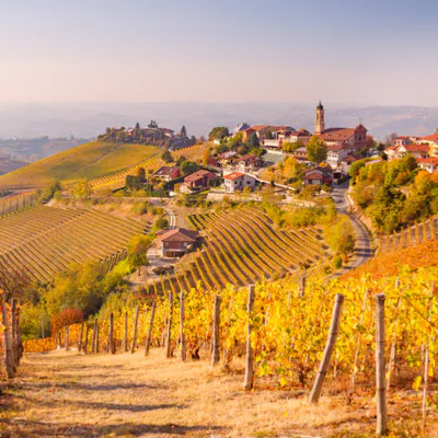 Il Piemonte: i suoi territori e i suoi vini - A cura del Sommelier Mirko Gallo - Dammi3Parole - Radio Nueva Italia