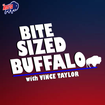 A Bite Sized Beatdown | Bite Sized Buffalo w/ Vince Taylor episode artwork