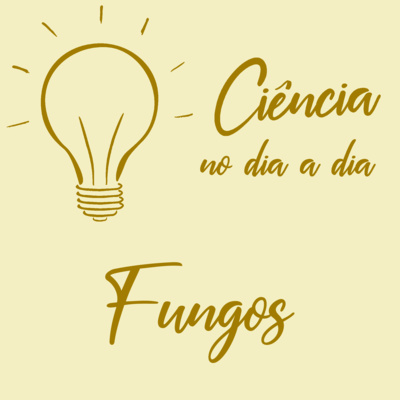 #038 - Fungos