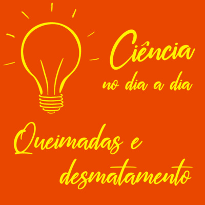 #049 - Queimadas e desmatamento