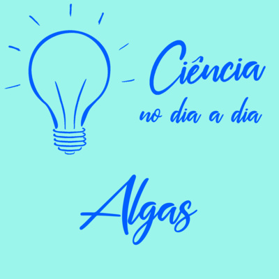 #064 - Algas