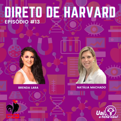 Uai, a ficha caiuI - Direito de Harvard #013