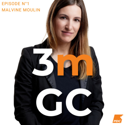 3min du Grand Conseil n°1