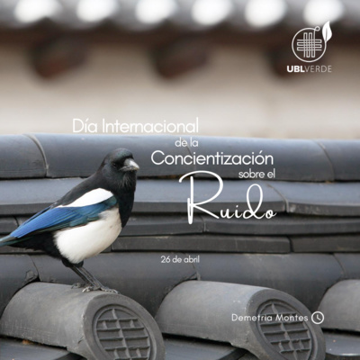  ⌛ 60 segundos por la creación: 🔊 Día Internacional de Concientización sobre el Ruido. episode artwork