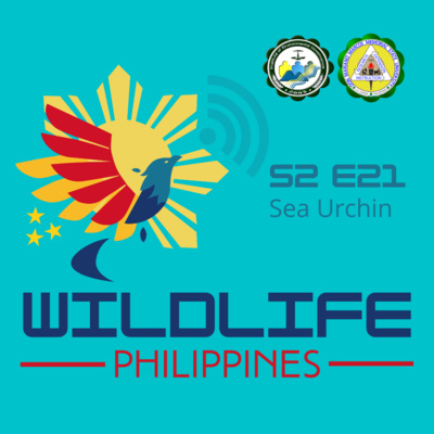 Wildlife Philippines