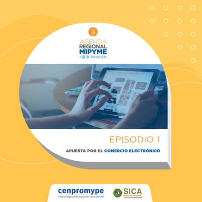 T1 - Episodio 1: Apuesta por el comercio electrónico