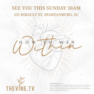 The Vine Church
