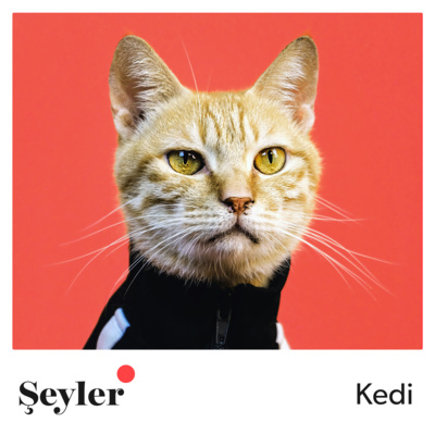 Şeyler