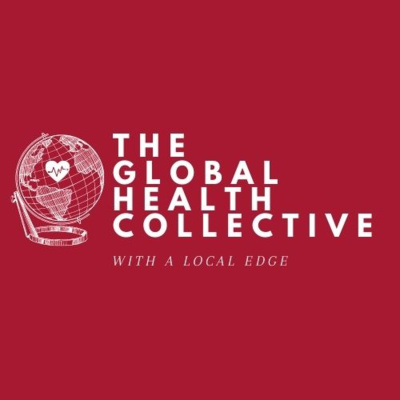 5.1 McMaster M.Sc. Global Health Student Panel: Mobility and Hybrid Learning